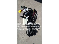 H4374110001A0,車(chē)門(mén)線束,北京義誠(chéng)德昌歐曼配件營(yíng)銷(xiāo)公司