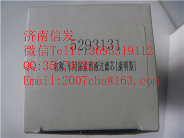 5293131  尿素泵濾芯   康明斯  伊可菲特1,5293131  尿素泵濾芯   康明斯  伊可菲特1,濟(jì)南信發(fā)汽車配件有限公司