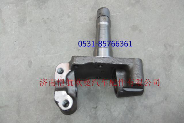 30N-01015,轉(zhuǎn)向節(jié)總成左國(guó)III,濟(jì)南愷航歐曼汽車配件有限公司