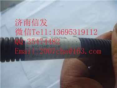 WG1246120016 加熱尿素管 3.5M  豪沃重汽國四,WG1246120016 加熱尿素管 3.5M  豪沃重汽國四,濟(jì)南信發(fā)汽車配件有限公司