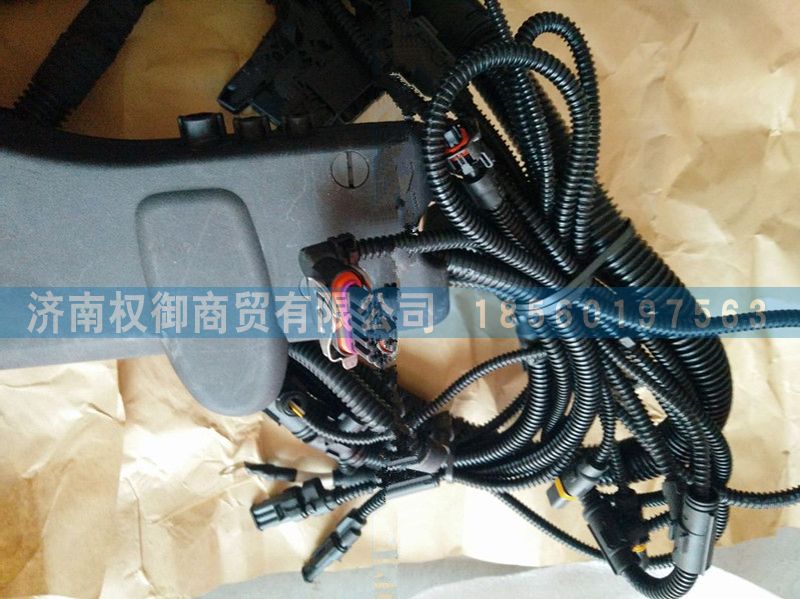 810W28230-6110,重汽曼MC07發(fā)動機線束,濟南權御進出口有限公司