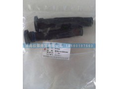 0280158828,濰柴LNG天然氣發(fā)動機博世系統(tǒng)燃氣噴嘴,濟南權御進出口有限公司
