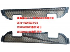AZ9525930060,保險杠裝飾格柵,濟南隆旭汽車配件有限公司