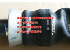 AZ165440086,后懸減震器,濟(jì)南隆旭汽車配件有限公司
