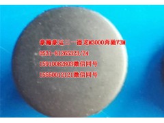 AZ1651740071,前臉扶手塞帽,濟南隆旭汽車配件有限公司
