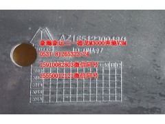 AZ1651230048,前輪前擋泥板左,濟南隆旭汽車配件有限公司