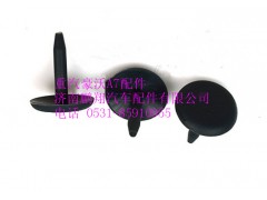 AZ1664930002,重汽豪沃A7塑料開(kāi)尾鉚釘,濟(jì)南鵬翔汽車(chē)配件有限公司