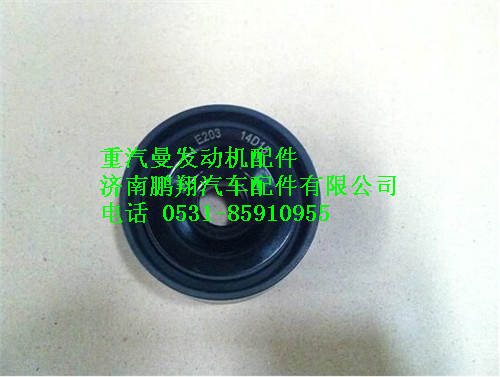 080V95800-6099,重汽曼MC07惰輪,濟(jì)南鵬翔汽車配件有限公司