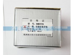 DQR2235,火炬燃氣點火線圈,濟南宏珈汽車零部件有限公司