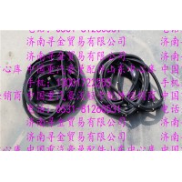 豪沃輕卡車(chē)門(mén)密封條