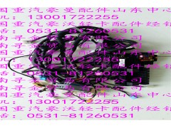 ,豪沃輕卡駕駛室線束,濟(jì)南尋金貿(mào)易有限公司