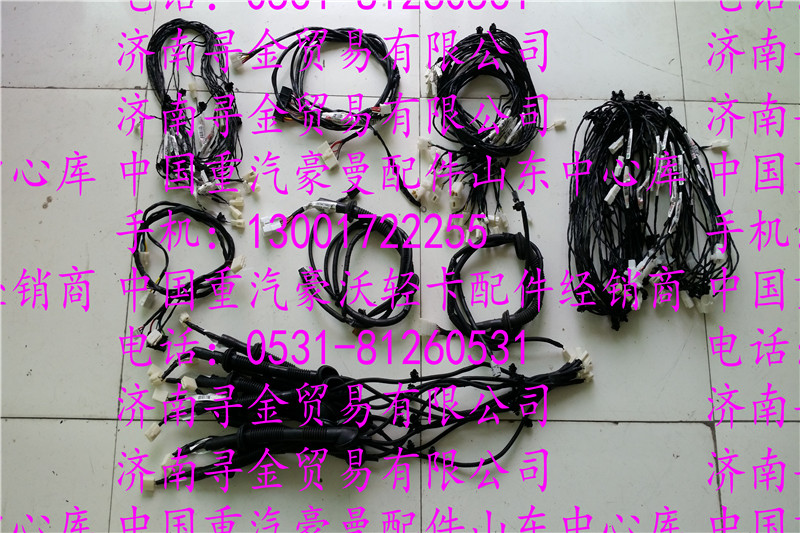 豪沃輕卡門控線束/