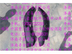 ,豪沃輕卡前翼子板,濟(jì)南尋金貿(mào)易有限公司