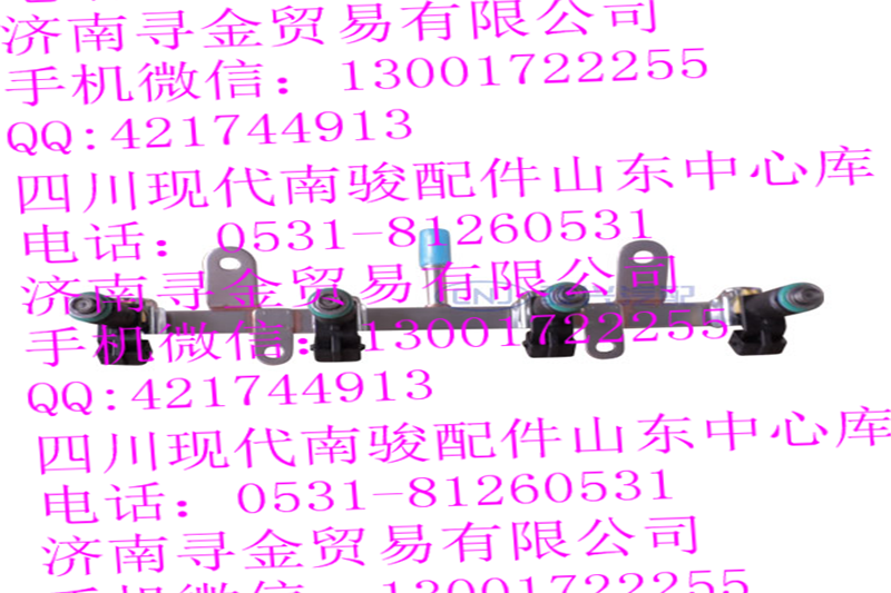 豪沃輕卡LJ469（VA2108003） 燃油導(dǎo)軌總成/
