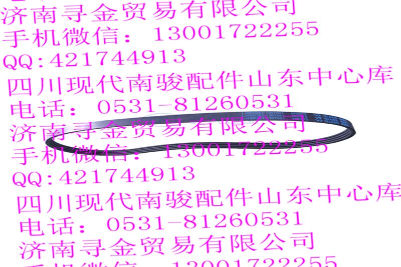 ,LJ469QE2-1307001 水泵皮帶,濟南尋金貿(mào)易有限公司
