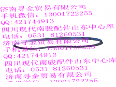 ,LJ469QE2-1307001 水泵皮帶,濟南尋金貿(mào)易有限公司