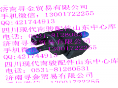 ,LJ474QE9（VA21111a） 碳罐電磁閥,濟南尋金貿(mào)易有限公司