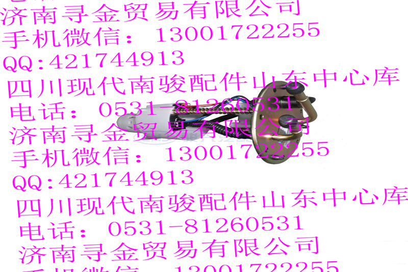 ,電動燃油泵總成,濟南尋金貿(mào)易有限公司