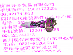 ,電動燃油泵總成,濟南尋金貿(mào)易有限公司