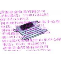 豪沃輕卡電噴ECU總成 瑞逸469國(guó)五專用