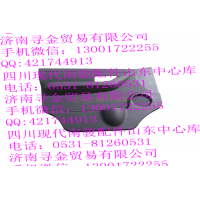 豪沃輕卡前門內(nèi)飾板總成（左）