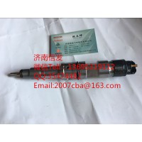 0445120389濰柴歐五噴油器