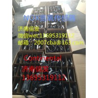 GA500-1205150長(zhǎng)春大陸電子氮氧化物傳感器