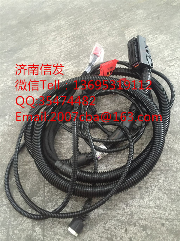 VG1034090012A 發(fā)動機線束/VG1034090012A