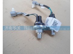 3720AD-020,駐車制動器開關(guān),濟南華沃重卡汽車貿(mào)易有限公司