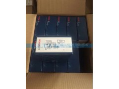 610800190174,博世雙銥金火花塞,濟(jì)南鼎陽汽車配件有限公司