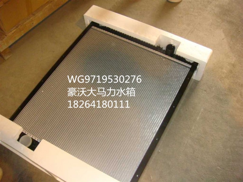 WG9719530276,水箱總成,濟南百思特駕駛室車身焊接廠