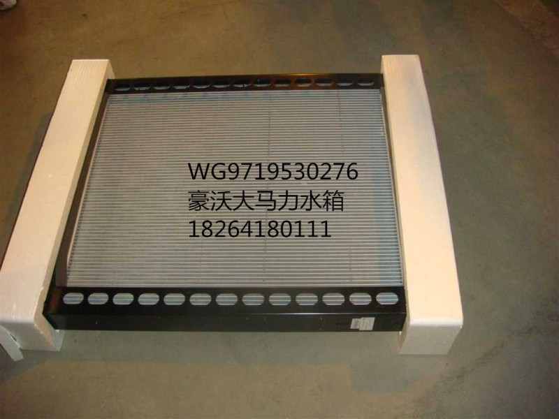WG9719530276,水箱總成,濟南百思特駕駛室車身焊接廠