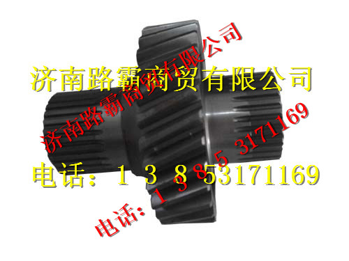 75201738.jpg,一級主動齒,濟(jì)南匯德卡汽車零部件有限公司