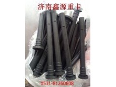 T10-WG1092080190-2,點(diǎn)火線圈防塵套,濟(jì)南裕豐汽車(chē)配件銷(xiāo)售中心