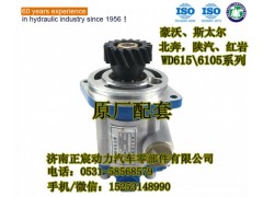 341PBA30000,轉(zhuǎn)向齒輪泵/助力泵,濟(jì)南正宸動(dòng)力汽車零部件有限公司