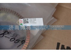 3502W08-009,后輪轂齒圈,濟南帥將商貿(mào)有限公司