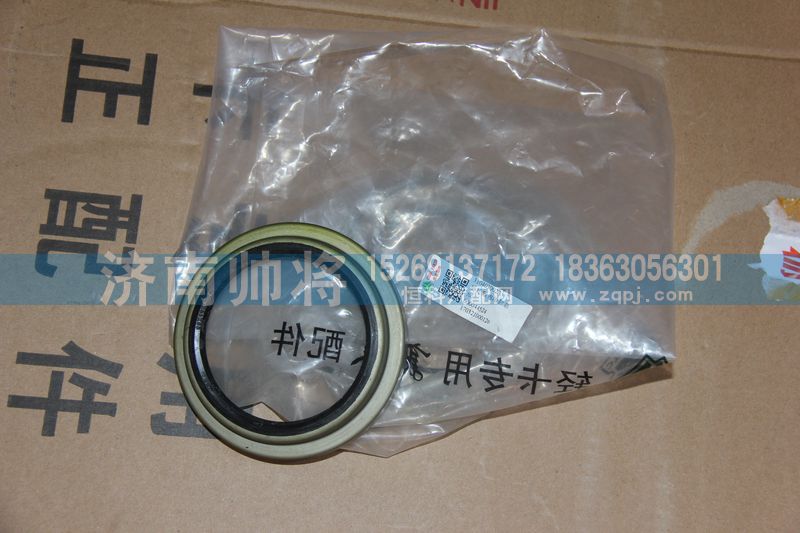310403002A,后輪轂內(nèi)油封總成,濟南帥將商貿(mào)有限公司