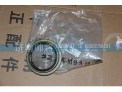 310403002A,后輪轂內(nèi)油封總成,濟南帥將商貿(mào)有限公司