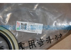 310403002A,后輪轂內(nèi)油封總成,濟南帥將商貿(mào)有限公司
