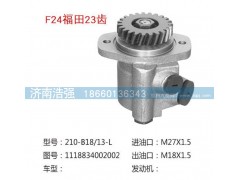 1118834002002,福田23齒轉(zhuǎn)向助力泵，轉(zhuǎn)向泵,濟(jì)南浩強(qiáng)助力泵發(fā)展有限公司