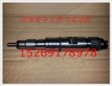 610800080073,電噴發(fā)動機(jī)噴油器總成,濟(jì)南裕豐汽車配件銷售中心