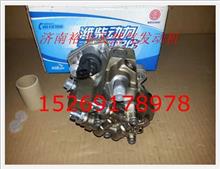 610800080072,電噴發(fā)動(dòng)機(jī)噴油泵共軌泵總成,濟(jì)南裕豐汽車配件銷售中心
