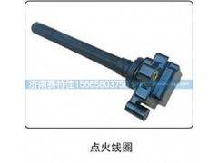 ,點(diǎn)火線圈,山東百基安國(guó)際貿(mào)易有限公司