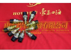 WK-102,HOWo豪沃輕卡空檔開關(插接口),山東悍將商貿(mào)有限公司