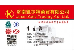 DZ13241430100,陜汽德龍駕駛室橫向減震器,濟南凱爾特商貿(mào)有限公司