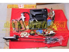 LG1611344003,HOWO豪沃輕卡門鎖+油箱蓋+點(diǎn)火鎖總成（12V 遙控）,山東悍將商貿(mào)有限公司