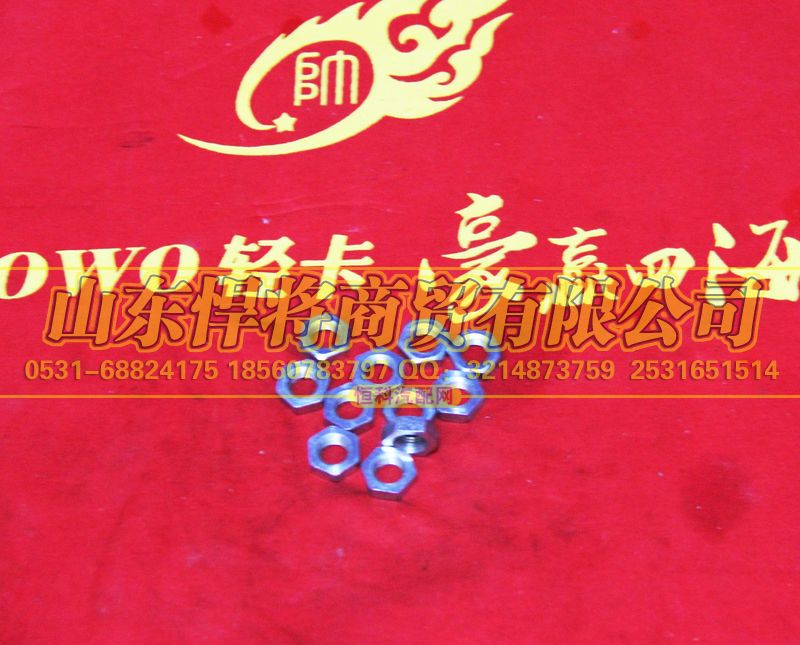 LG9700360511,HOWO豪沃輕卡管接頭用六角薄螺母,山東悍將商貿有限公司
