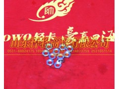 LG9700360511,HOWO豪沃輕卡管接頭用六角薄螺母,山東悍將商貿有限公司