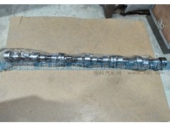 200-04400-6050,凸輪軸總成,濟(jì)南領(lǐng)泰（原玉華）汽車零部件有限公司