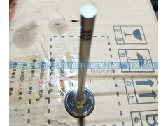 080V04101-0538,排氣門,濟南領(lǐng)泰（原玉華）汽車零部件有限公司